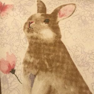 Rachel Ashwell Bunny & Flower Tea Towels 2Pc NWT
